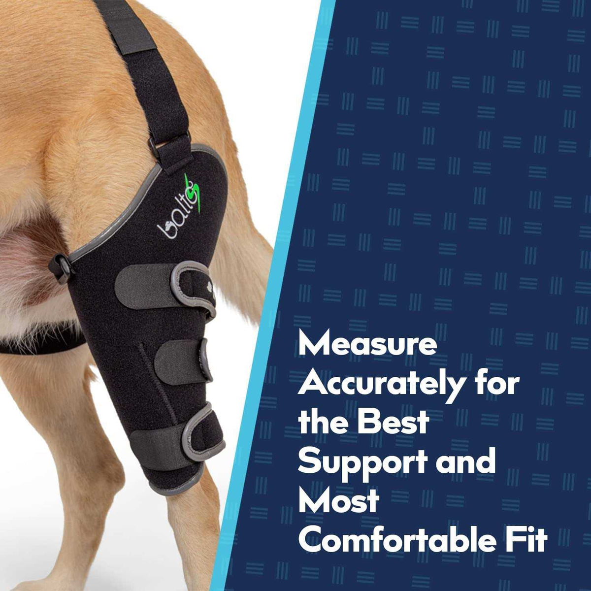 Knee Support for Dogs X884