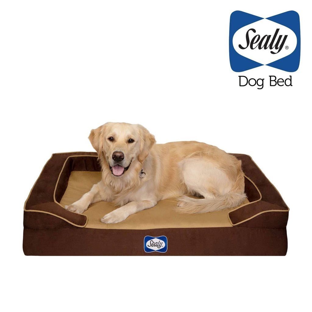 Large Orthopedic Dog Bed H48608