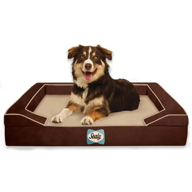 Large Orthopedic Dog Bed H48608