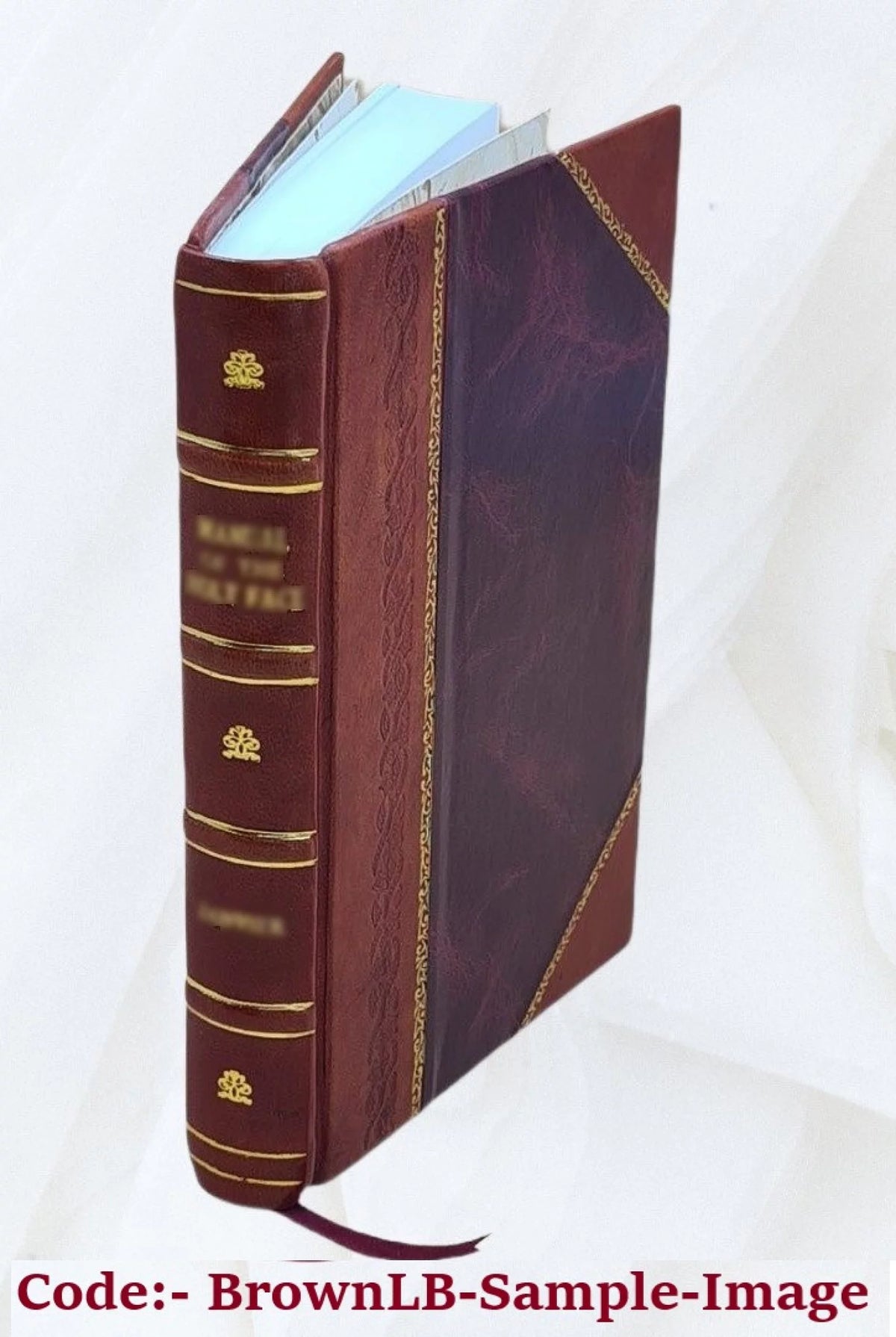Elektro-Homoeopathie Grundsätze einer neuen Wissenschaft 1883 Leather Bound J1672