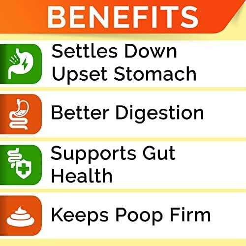 Pumpkin High Fiber Digestive Supplement for Dogs W8718
