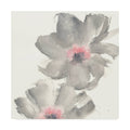 Gray Blush Cosmos Art Print V794