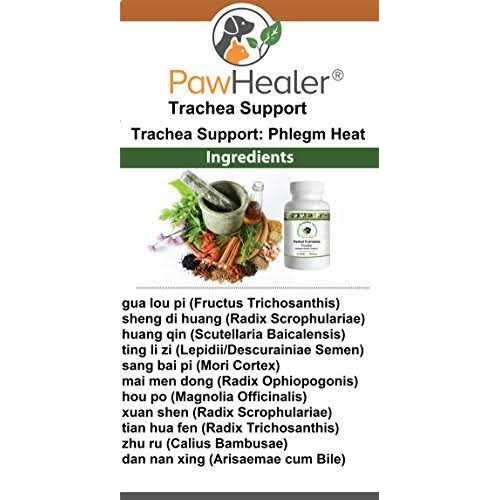 Dog Cough Remedy Pet Supplies U687718