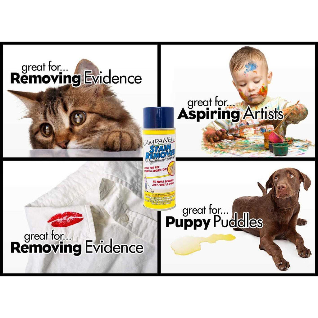 Stain Remover Pet Stain and Odor Eliminator J26510