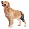 Knee Support for Dogs X884