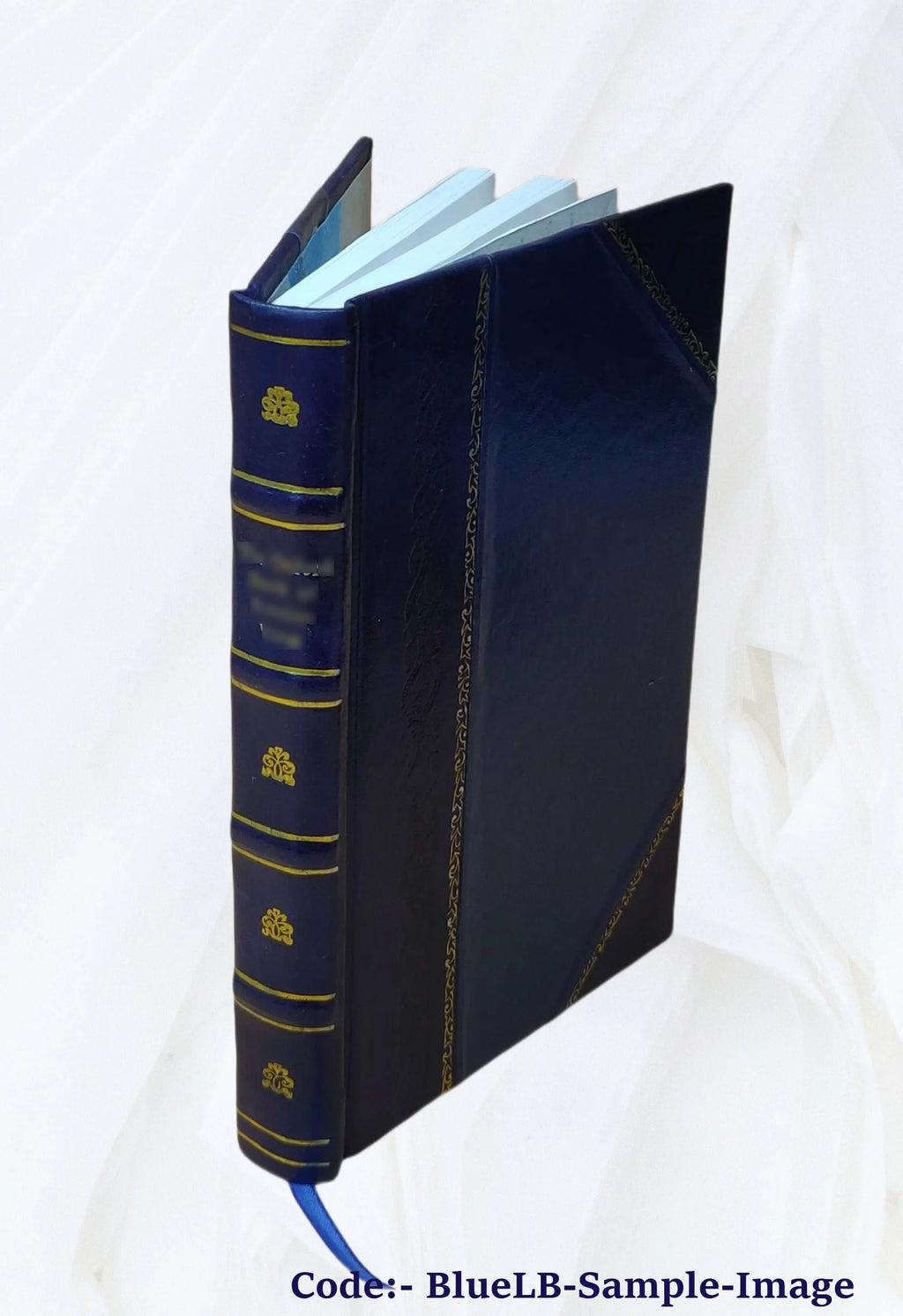 Elektro-Homoeopathie Grundsätze einer neuen Wissenschaft 1883 Leather Bound J1672