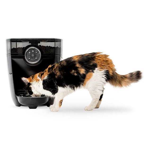 Wi-fi Cat & Dog Auto-Feeder with Hopper & Backup Battery D336938