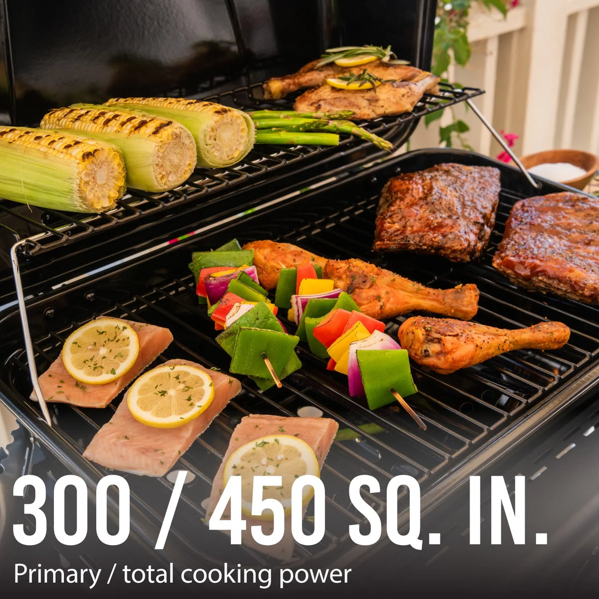 3 Burner Propane Gas Grill Q2959