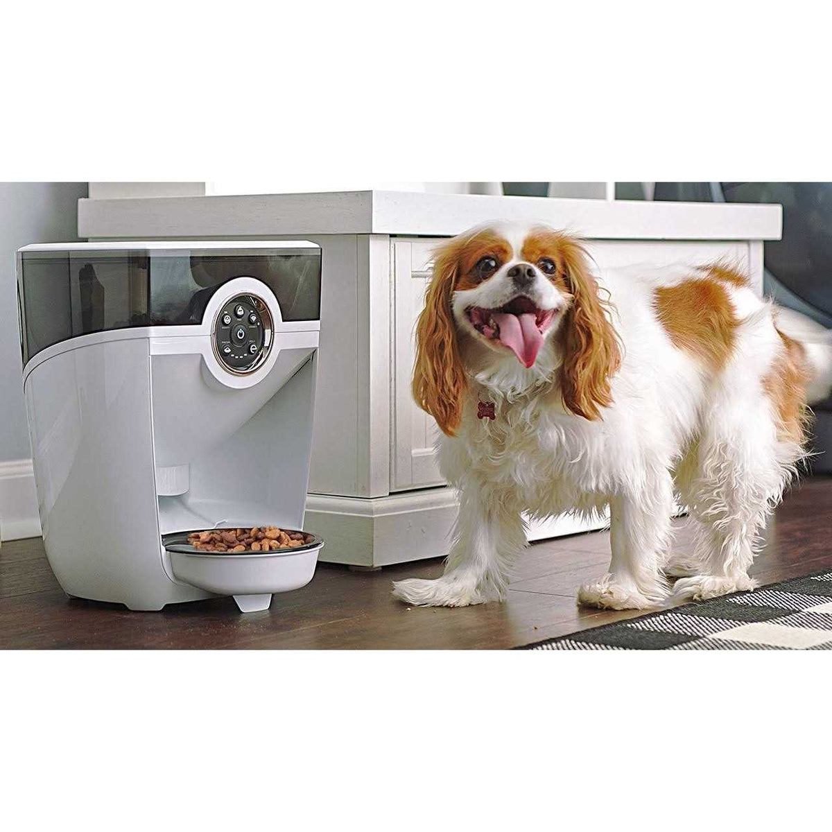 Wi-fi Cat & Dog Auto-Feeder with Hopper & Backup Battery D336938