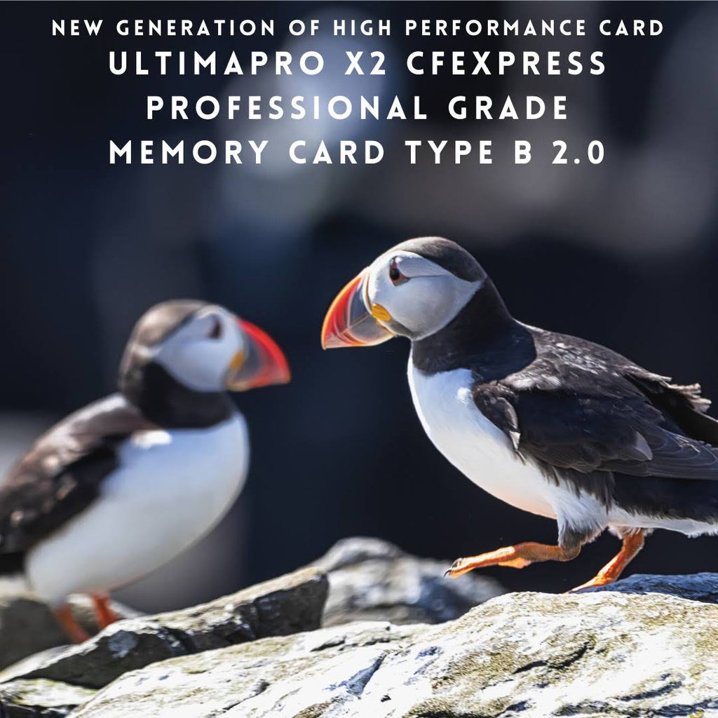 128GB CFexpress Memory Card E78850