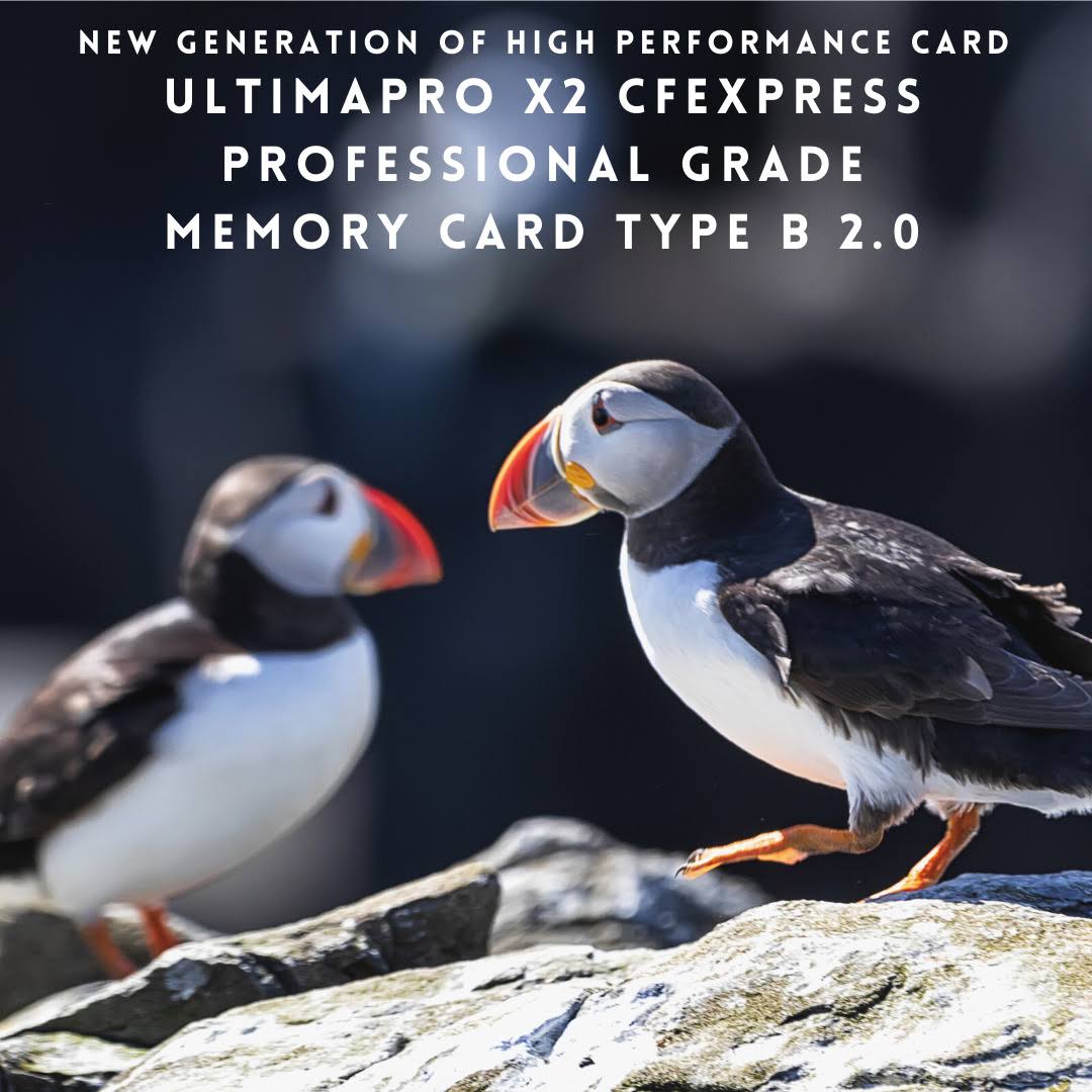 128GB CFexpress Memory Card E78850