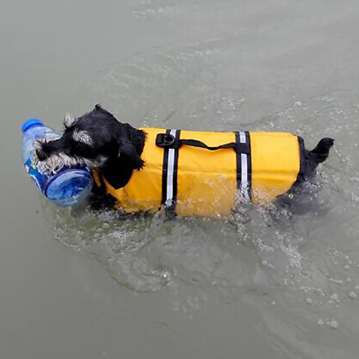 Dog Life Jacket with Reflective Stripes H613