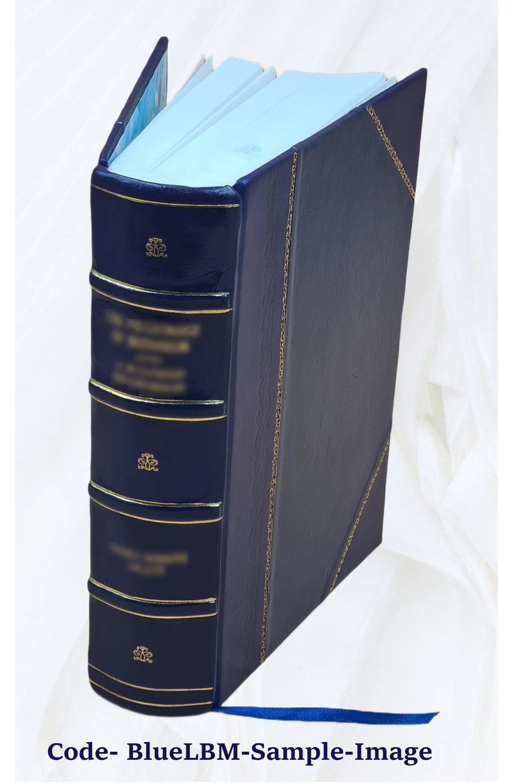 Leather Bound V77513