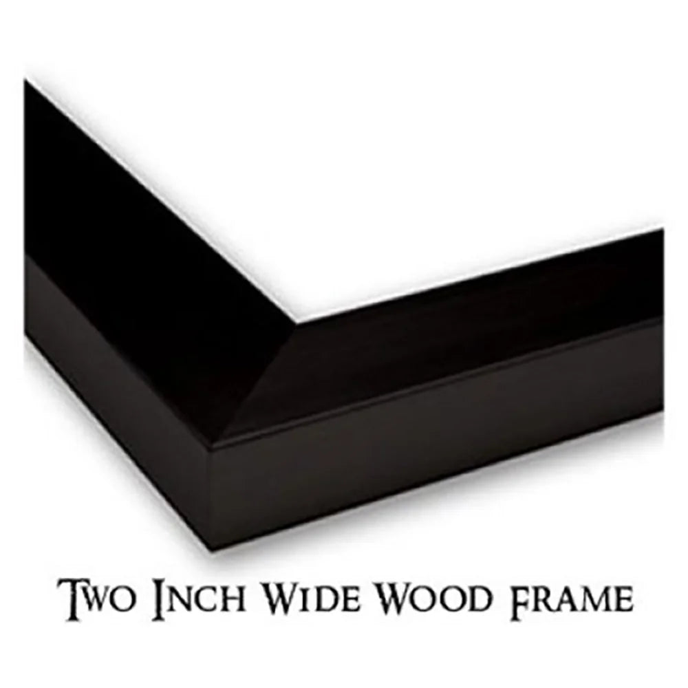 Black Modern Framed Museum Art Print H6912