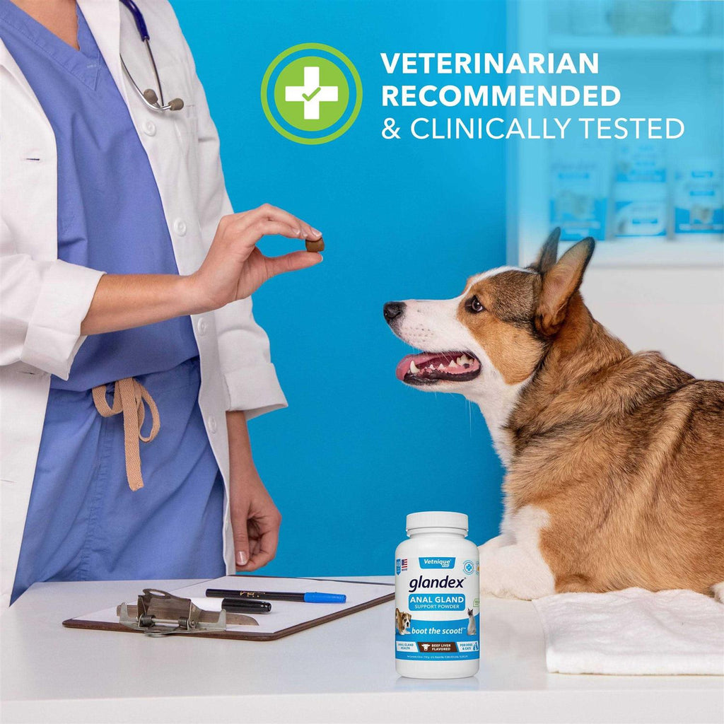 Anal Gland Support Powder for Dogs & Cats W4375