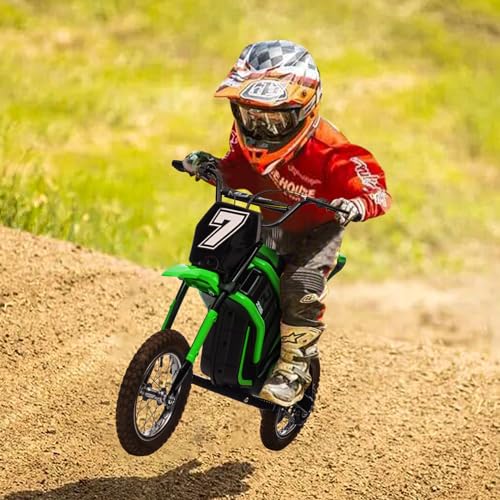 24V Electric Dirt Bike 350W Motor 14.29 MPH Dual Suspension Q56858