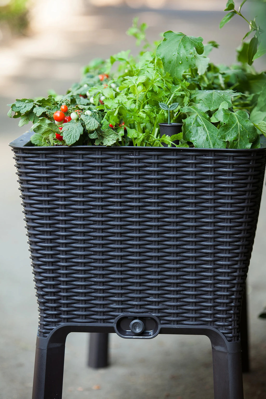 Raised Garden Bed with Self-Watering and Drainage System E471532