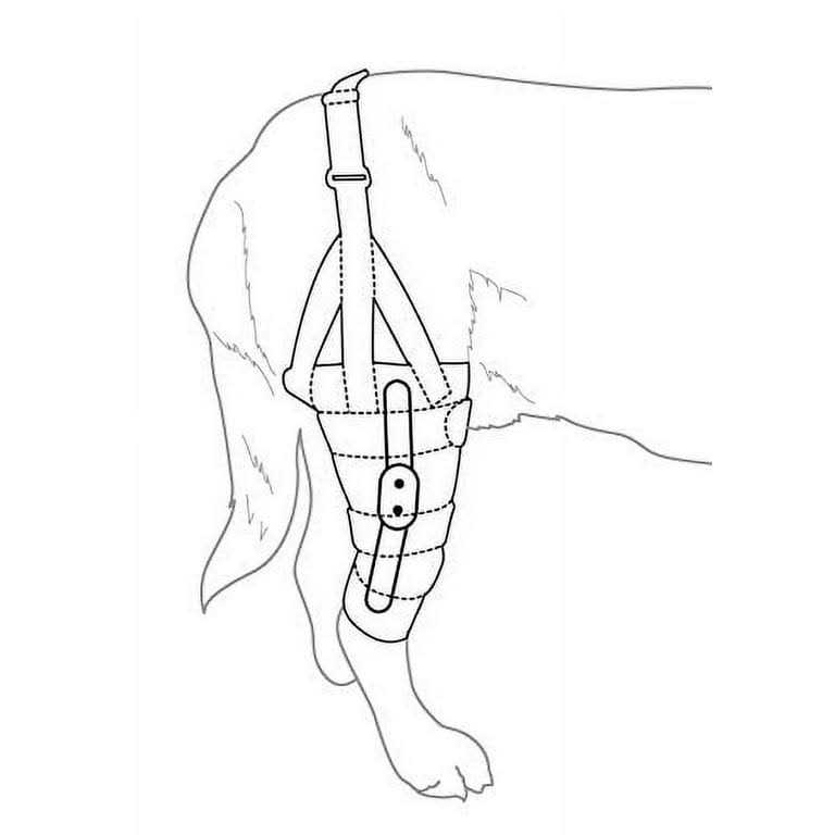 Dog Knee Brace T720