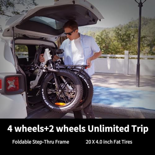 750W 48V 768WH Removable Battery Foldable 20''×4.0" Fat Tire Electric Bike P85642