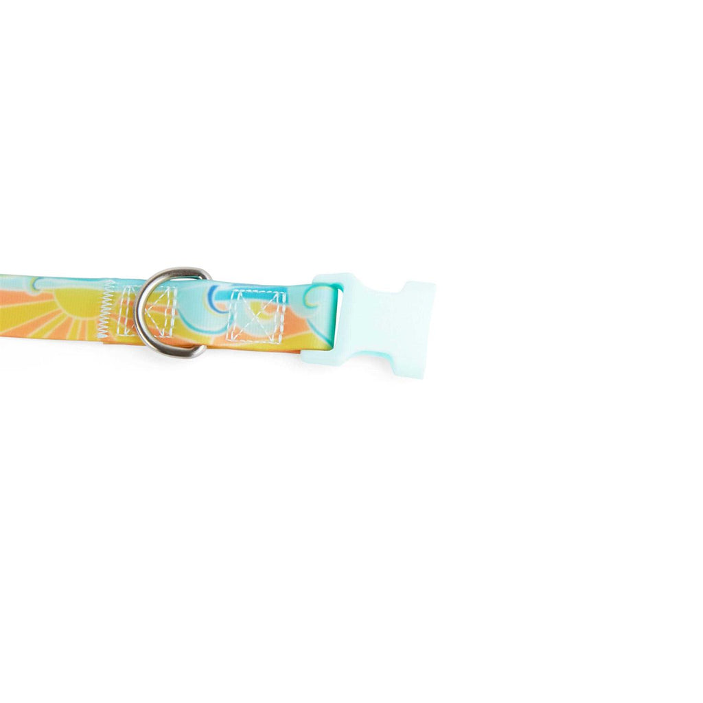 Wipeable Dog Collar J27618
