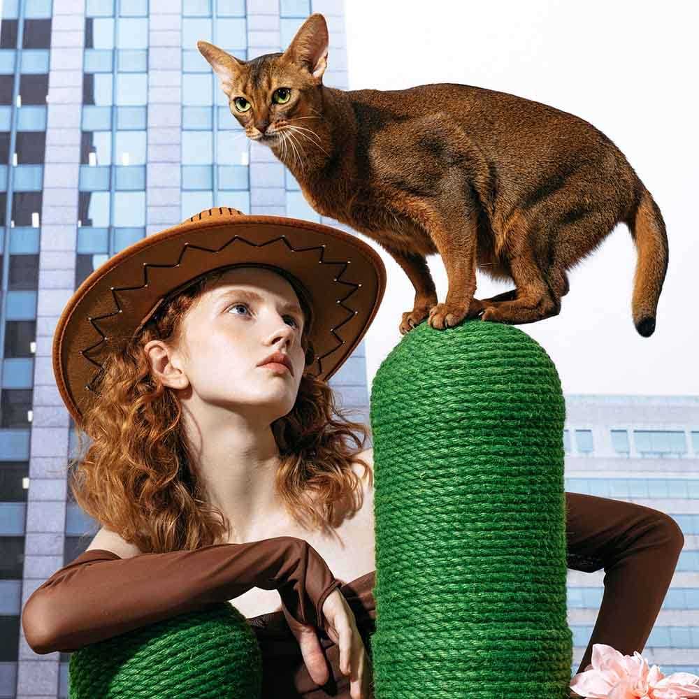 Cactus Cat Tree Scratching Post S400