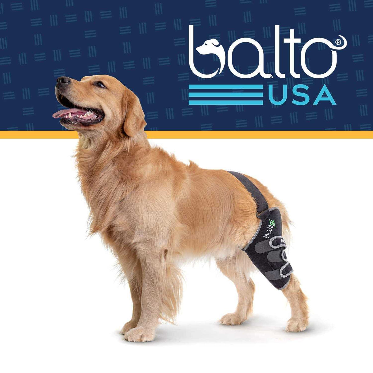 Knee Support for Dogs X884
