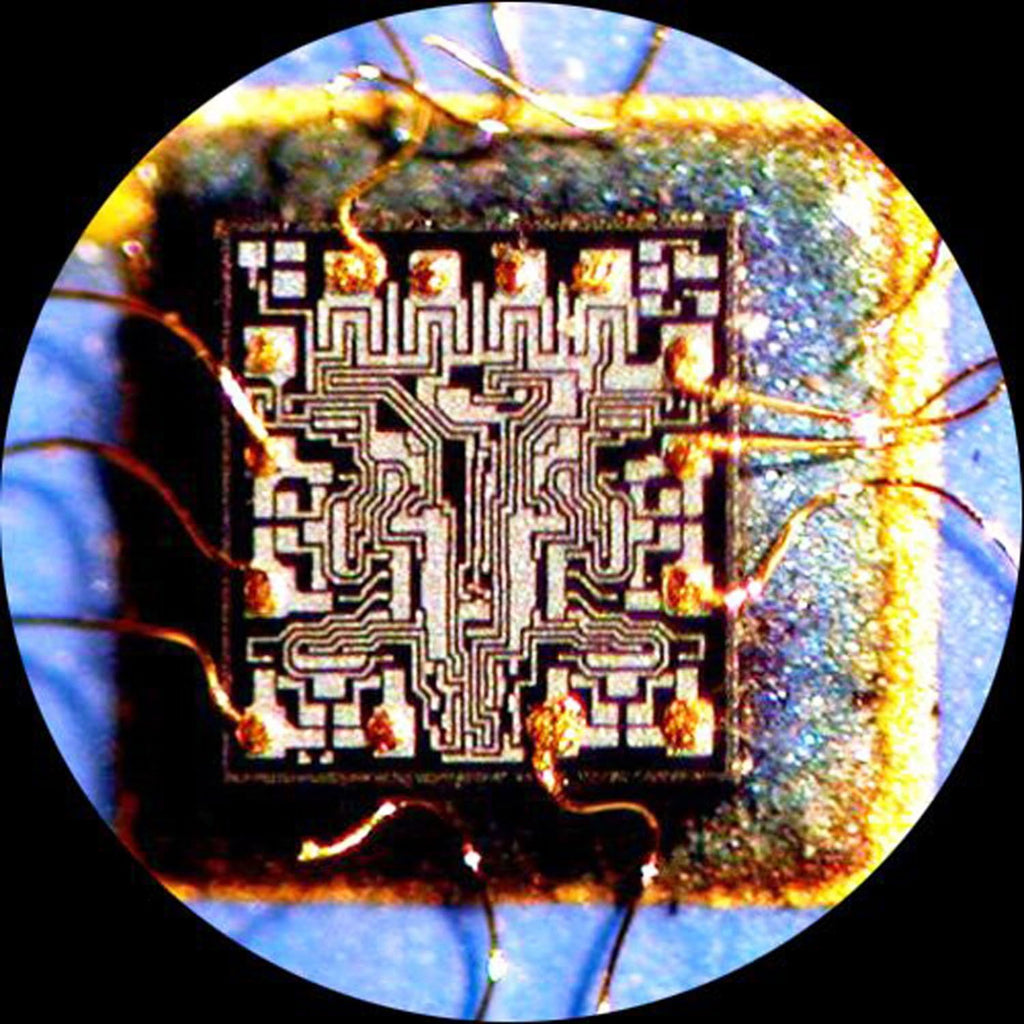 Digital USB Camera for Microscope B810