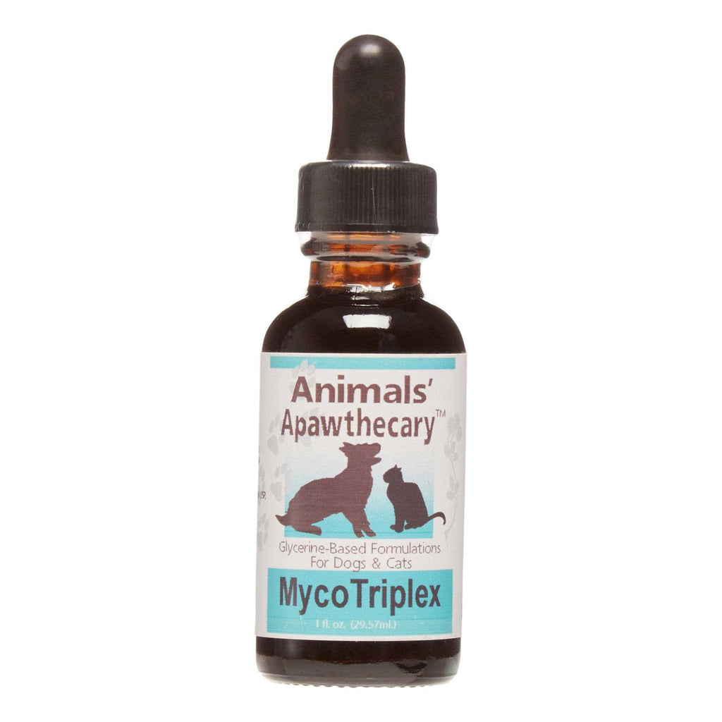 Mushroom Defense Pet Supplies Y64731