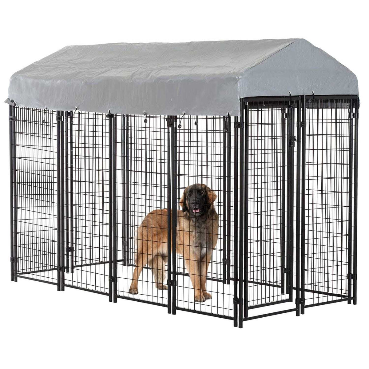 8 x 4 x 6 ft Heavy Duty Metal Dog Kennel F108