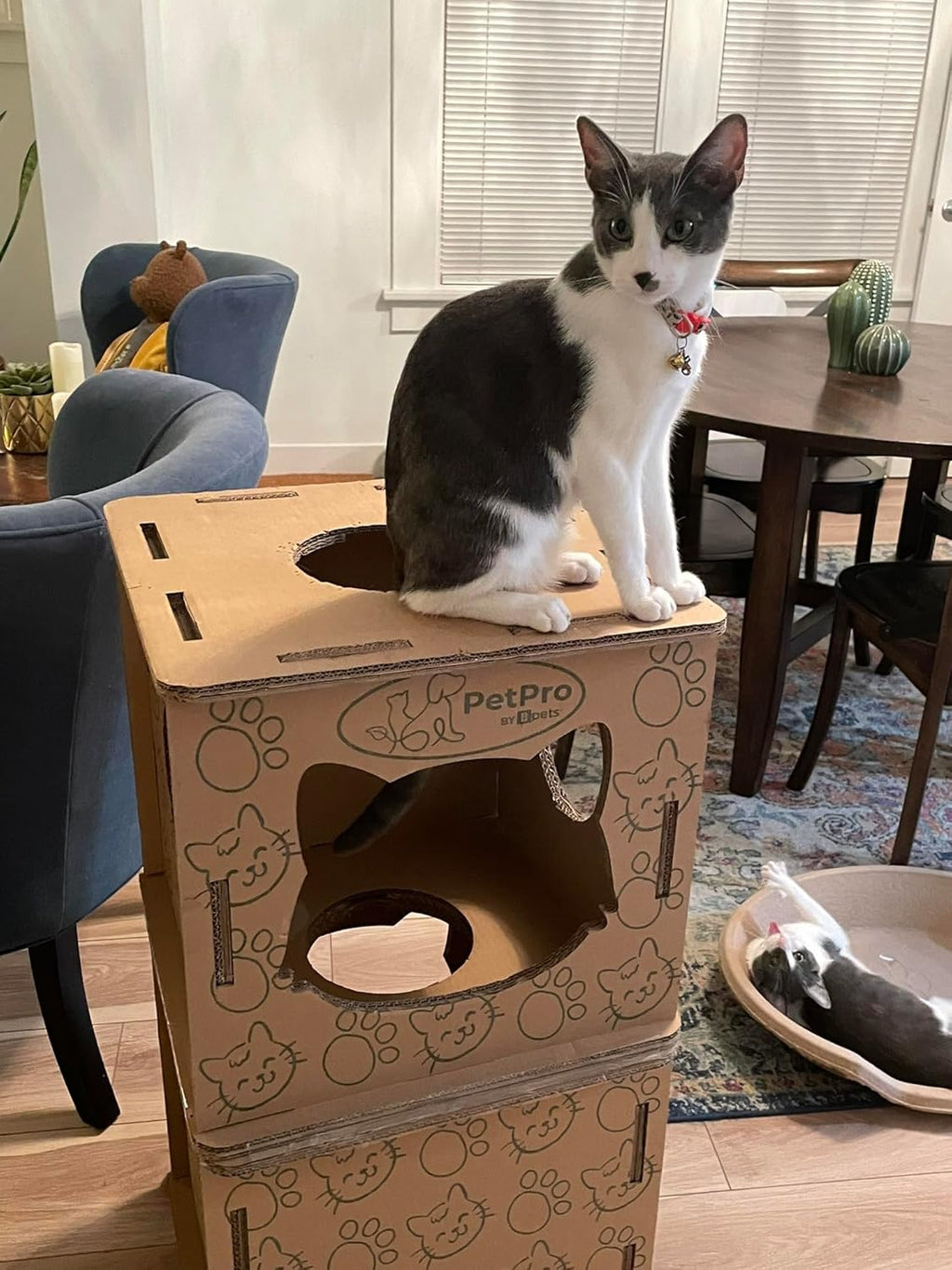 Corrugated Cardboard Cat Scratcher House V23205