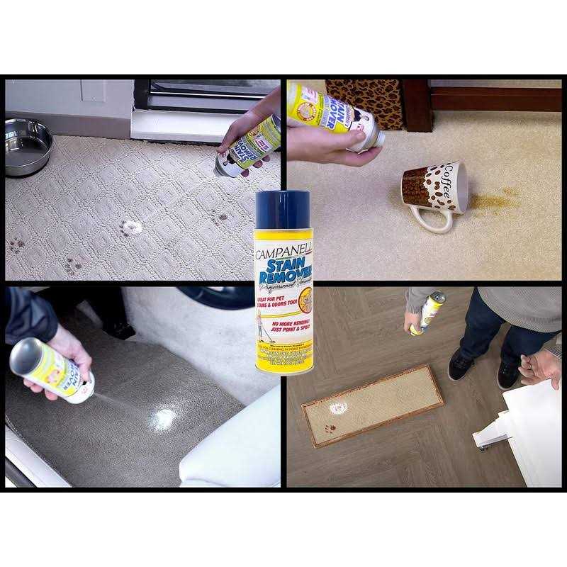 Stain Remover Pet Stain and Odor Eliminator J26510