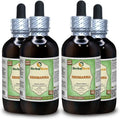 Organic Dried Roots Alcohol-Free Liquid Extract 4x120 ml Z305