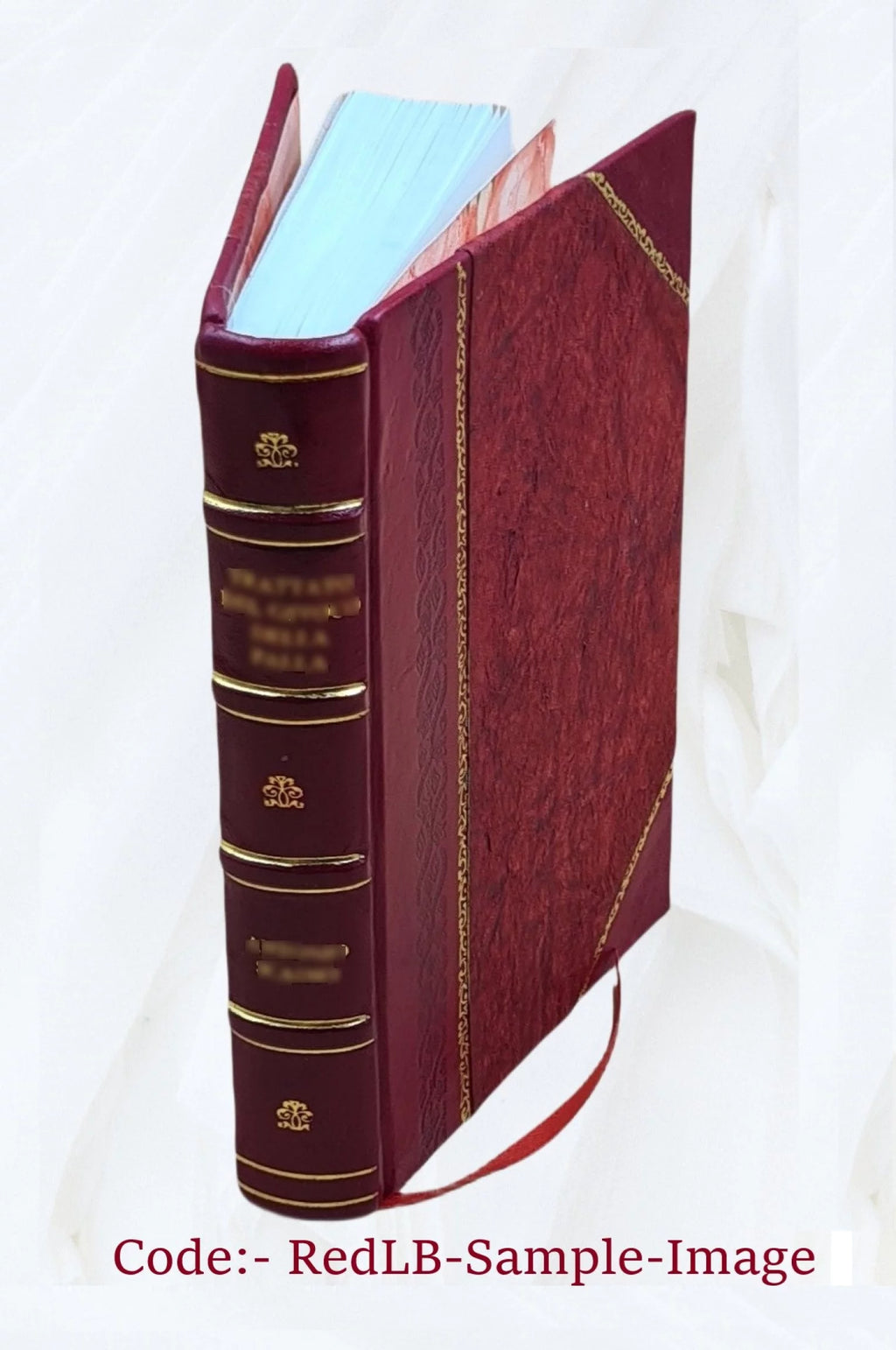 Elektro-Homoeopathie Grundsätze einer neuen Wissenschaft 1883 Leather Bound J1672