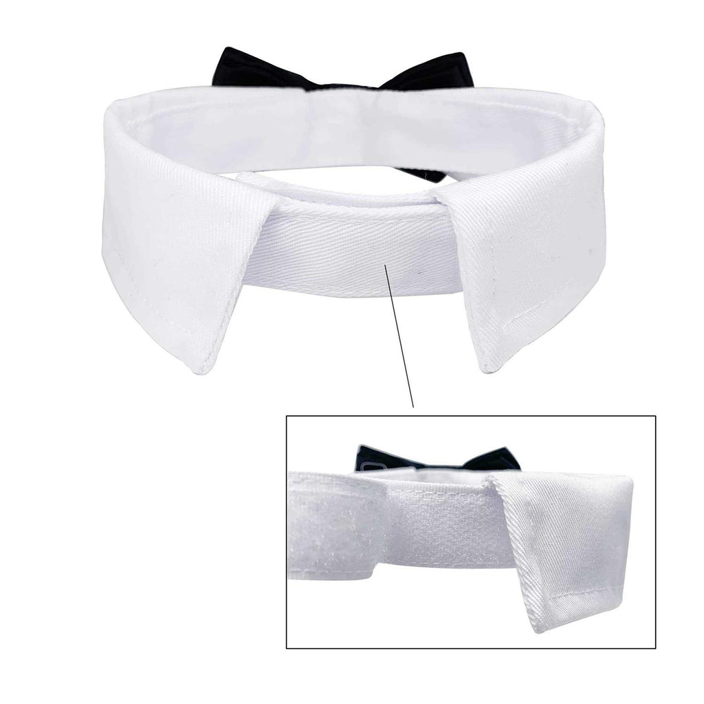Dog Tuxedo Collar C657