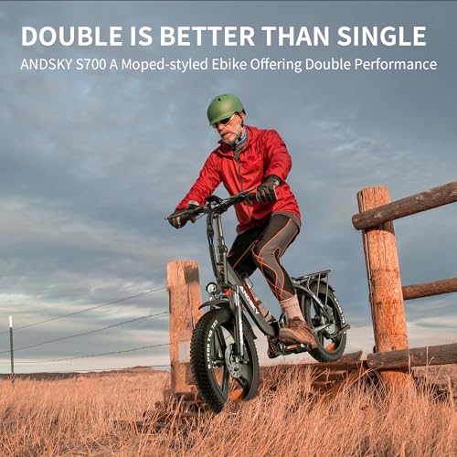 750W 48V 768WH Removable Battery Foldable 20''×4.0" Fat Tire Electric Bike P85642
