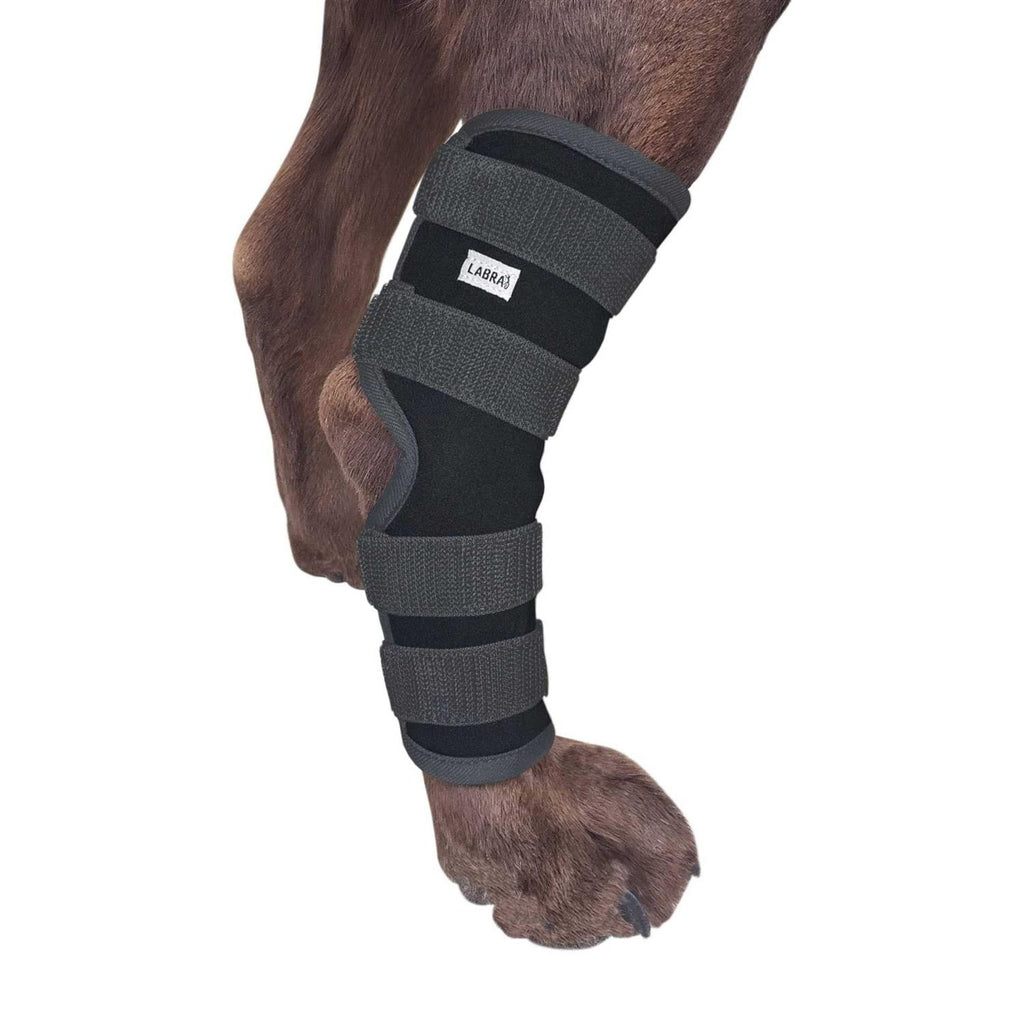 Dog Rear Leg Hock Joint Compression Wrap J449