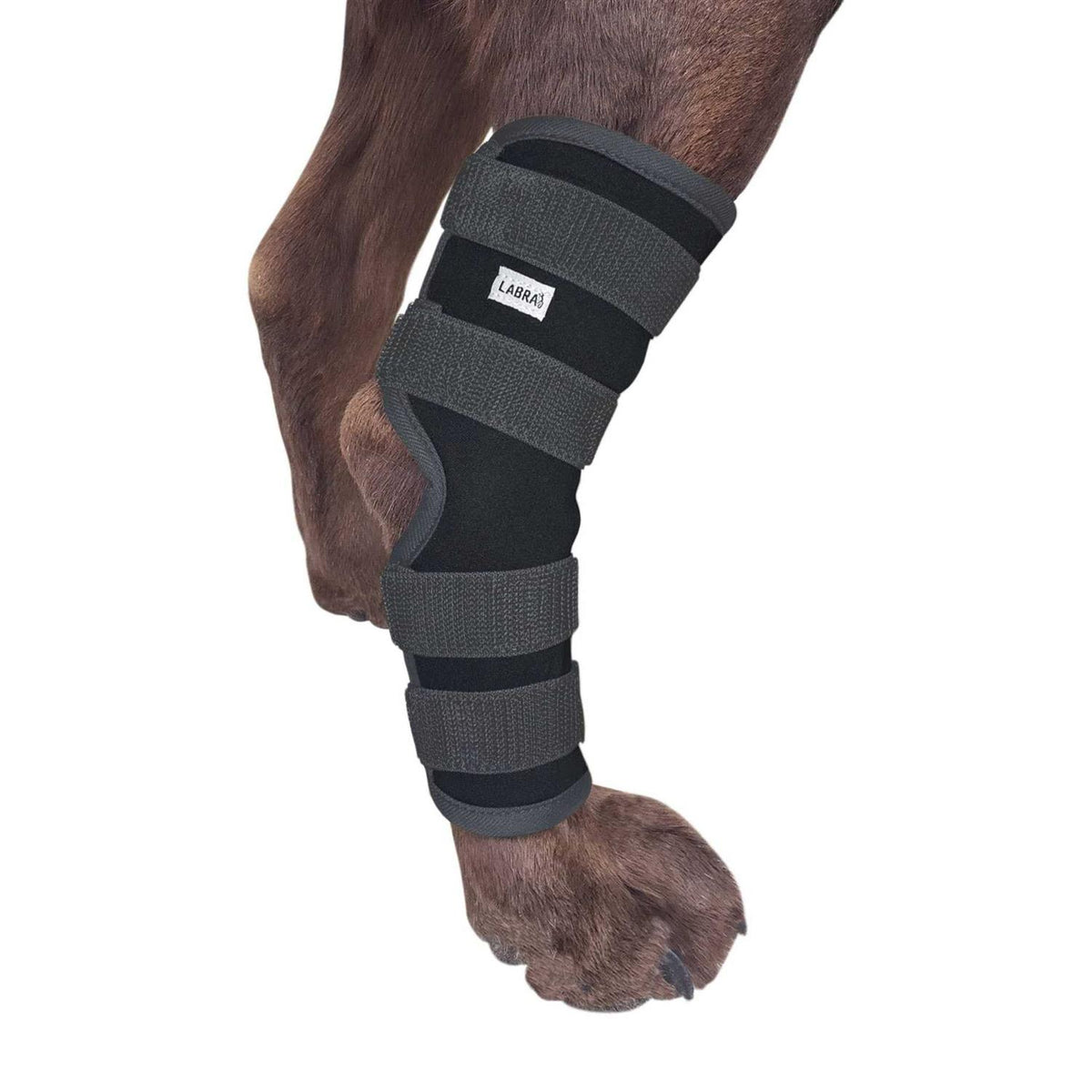 Dog Rear Leg Hock Joint Compression Wrap J449