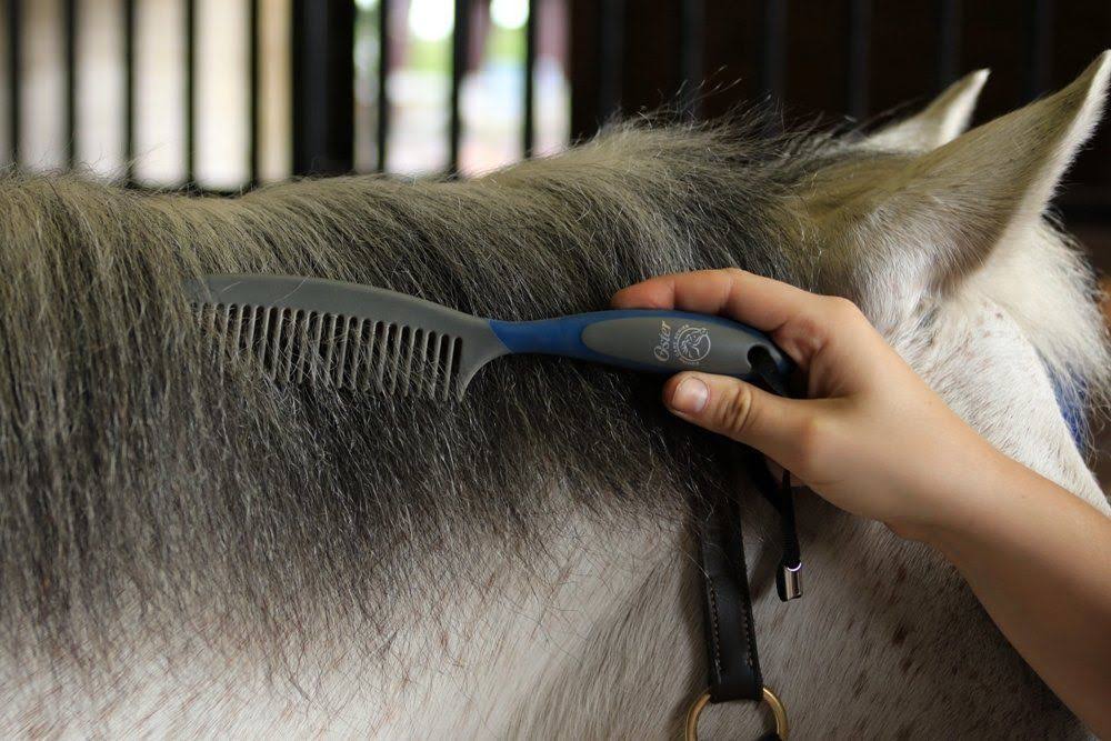 7-Piece Blue Grooming Kit X5909