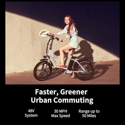 750W 48V 768WH Removable Battery Foldable 20''×4.0" Fat Tire Electric Bike P85642