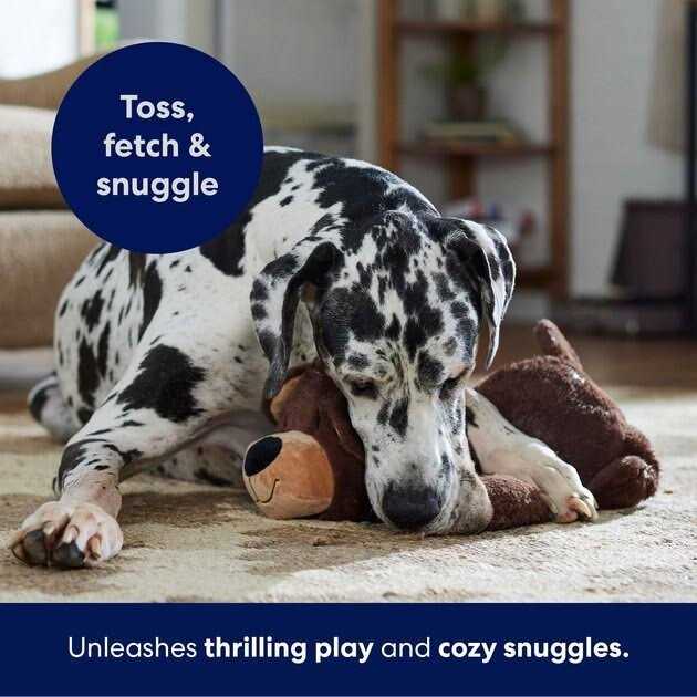 Plush Squeaky Dog Toy Y6699