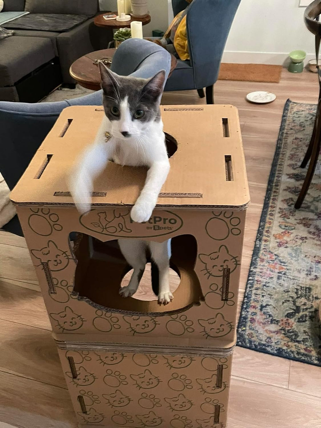 Corrugated Cardboard Cat Scratcher House V23205
