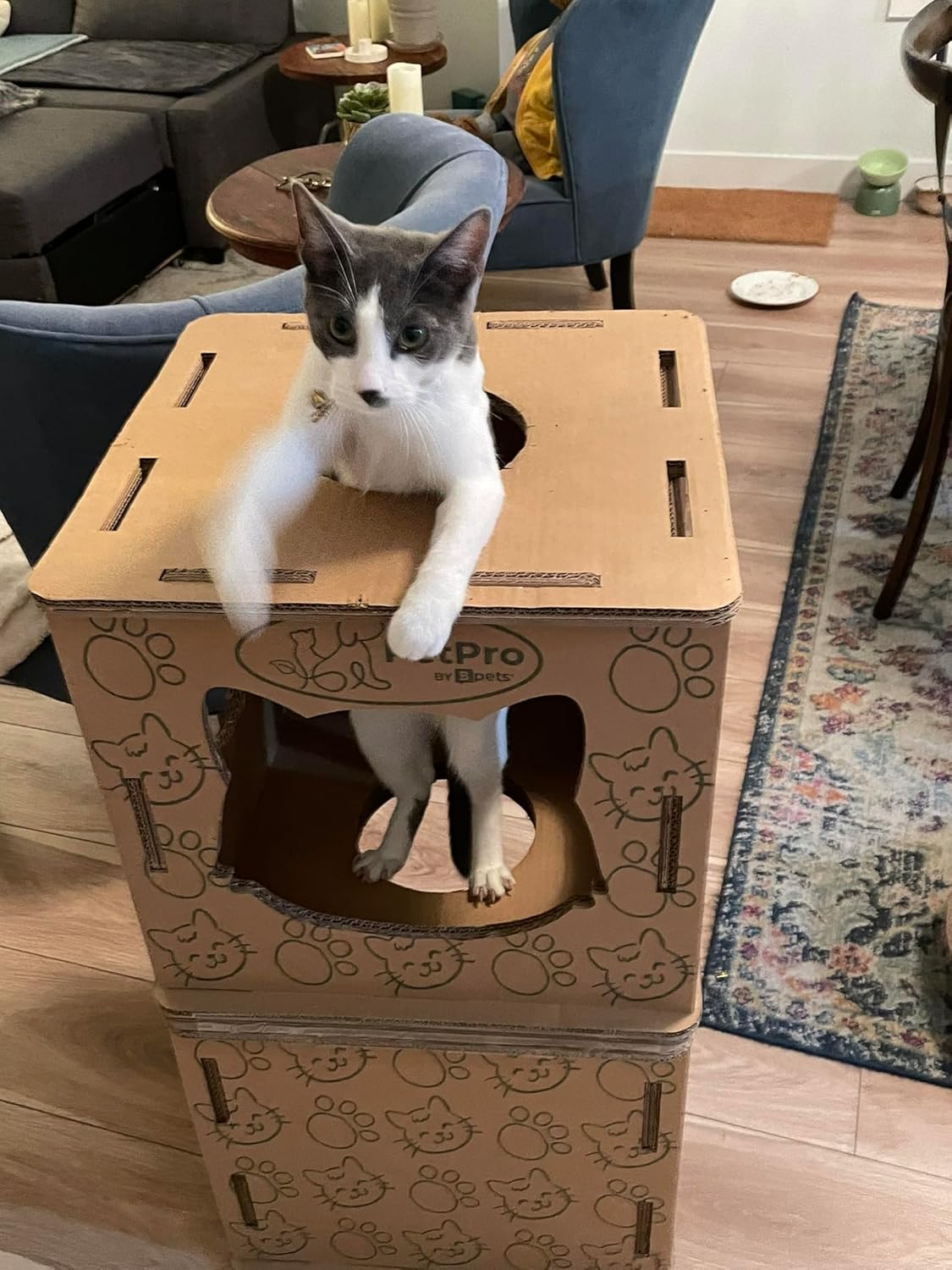 Corrugated Cardboard Cat Scratcher House V23205