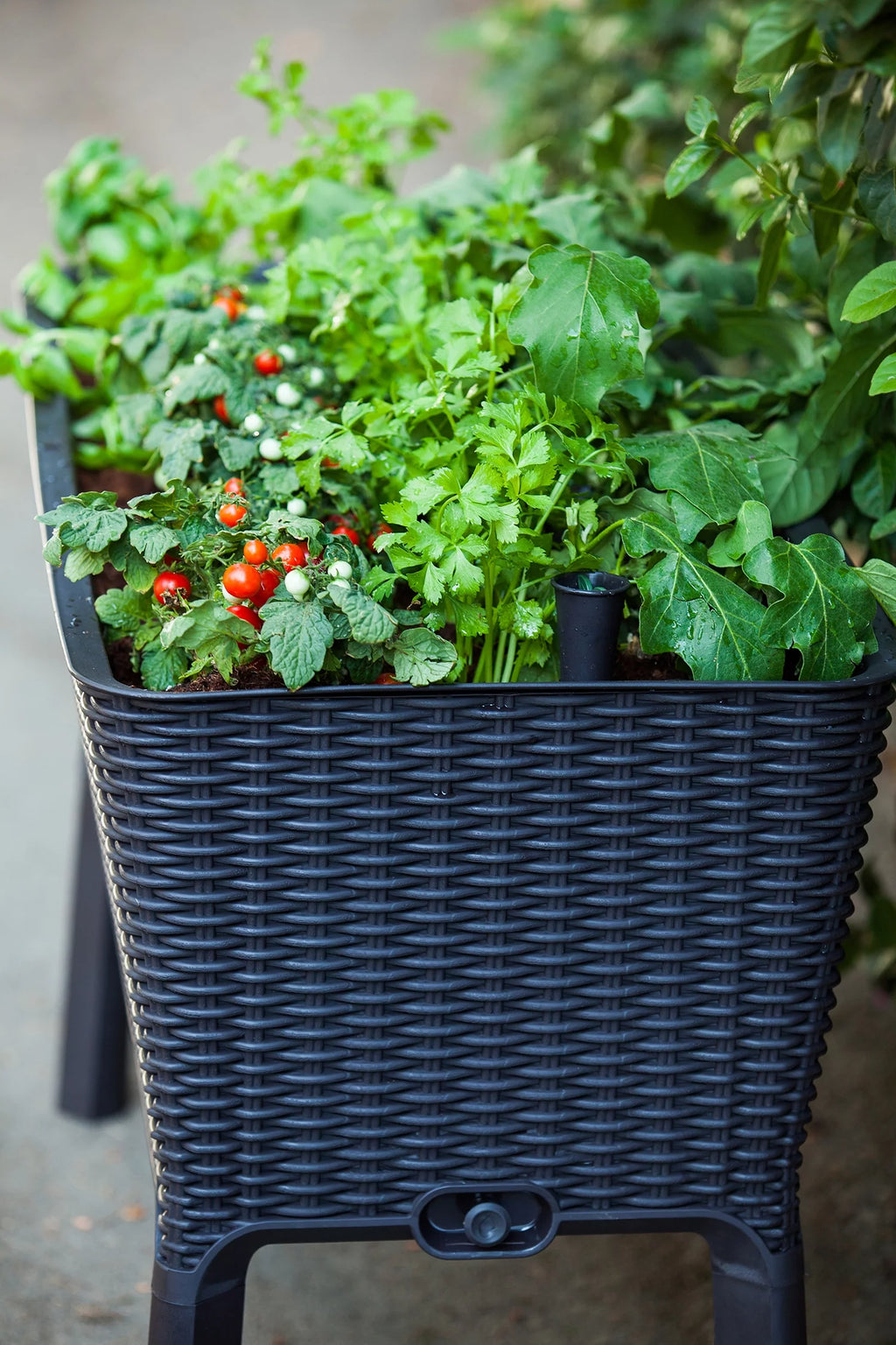 Raised Garden Bed with Self-Watering and Drainage System E471532