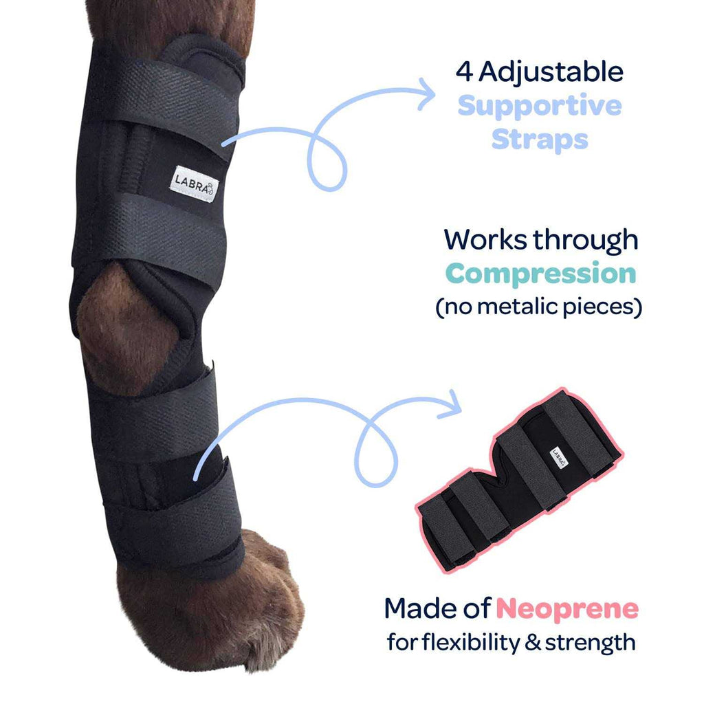 Dog Rear Leg Hock Joint Compression Wrap J449
