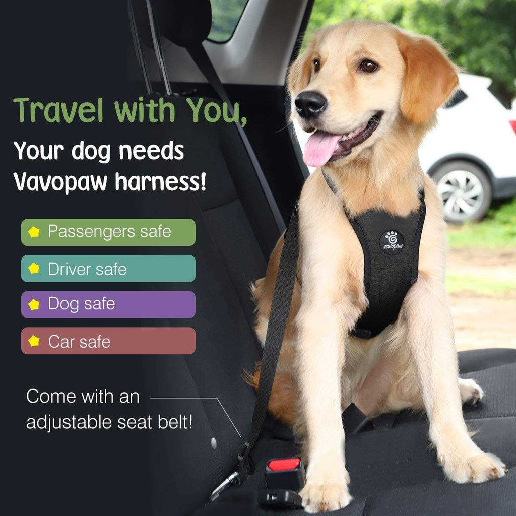 Adjustable Soft Padded Mesh Dog Vehicle Safety Vest Harness with Travel Strap and Carabiner K157004