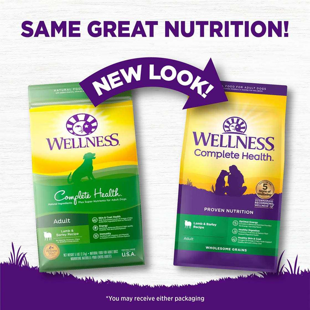 Lamb & Barley Dry Dog Food Y25602