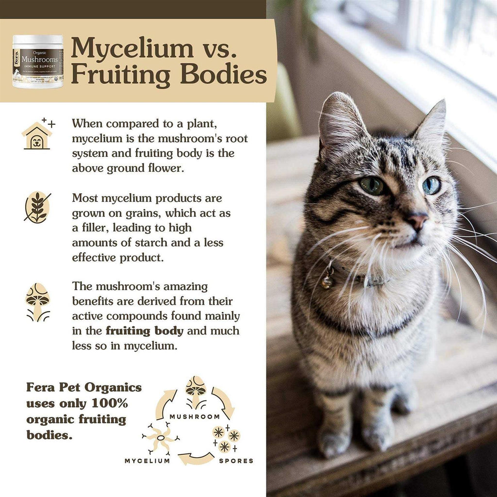 USDA Organic Mushrooms Immune Support for Dogs & Cats M6156