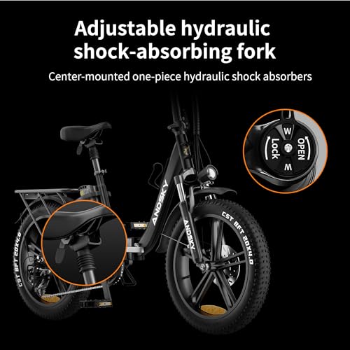 750W 48V 768WH Removable Battery Foldable 20''×4.0" Fat Tire Electric Bike P85642
