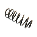 Coil Spring Z288