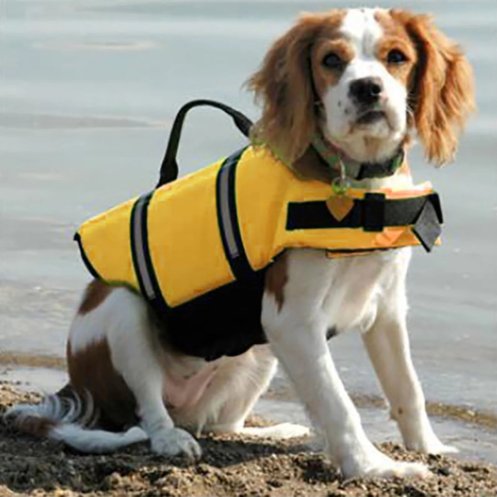 Dog Life Jacket with Reflective Stripes H613